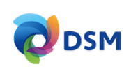 Logo DSM